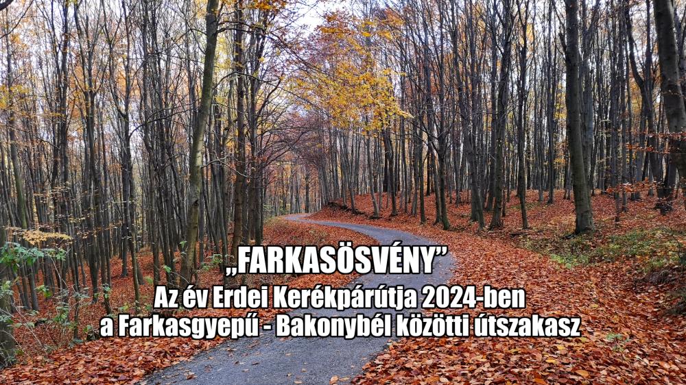 ˝Farkasösvény˝ - Az Év Erdei Kerékpárútja 2024-ben