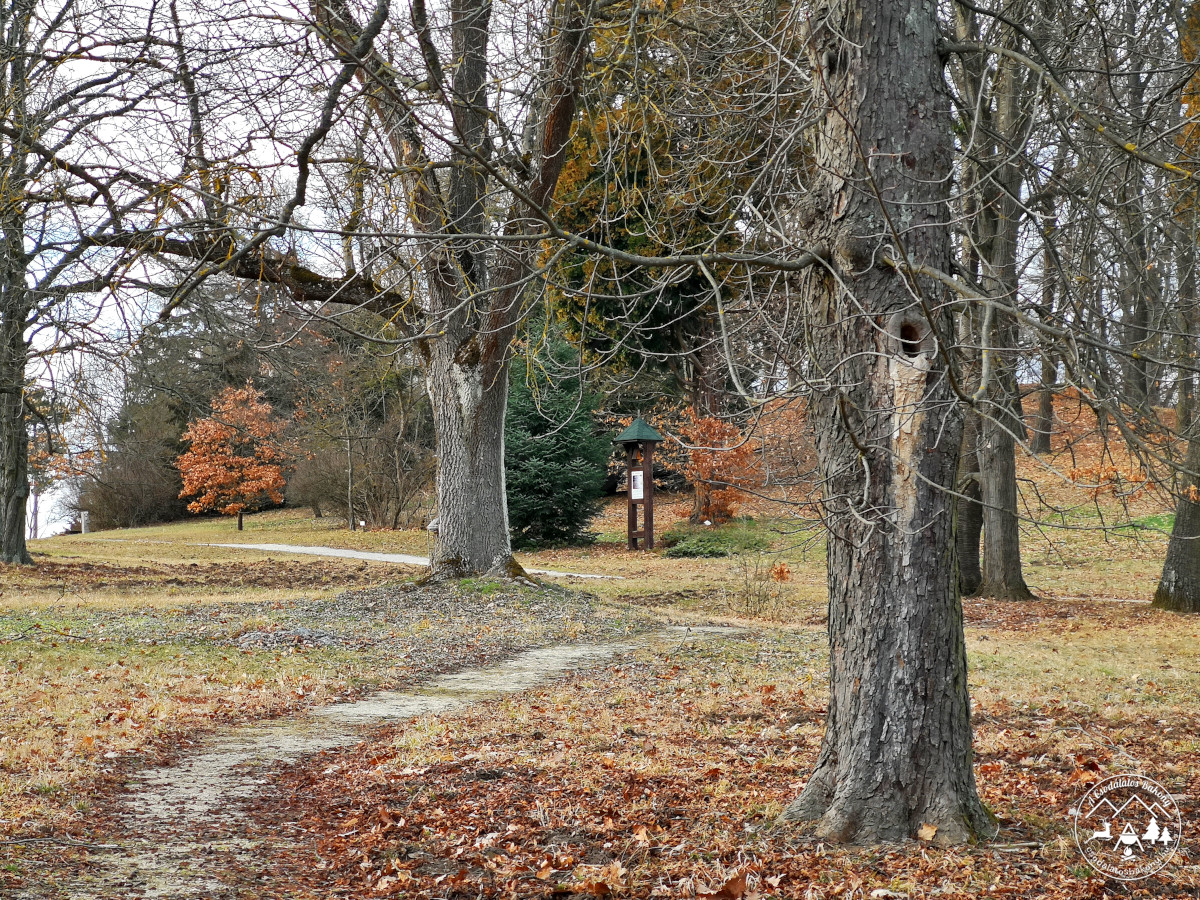 Alsóperei Arborétum (Nádasdy Arborétum)