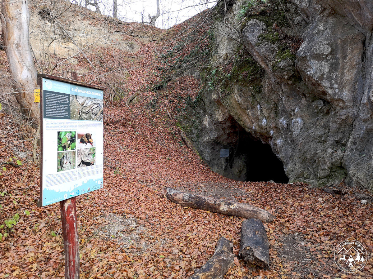 Odvas-kői-barlang