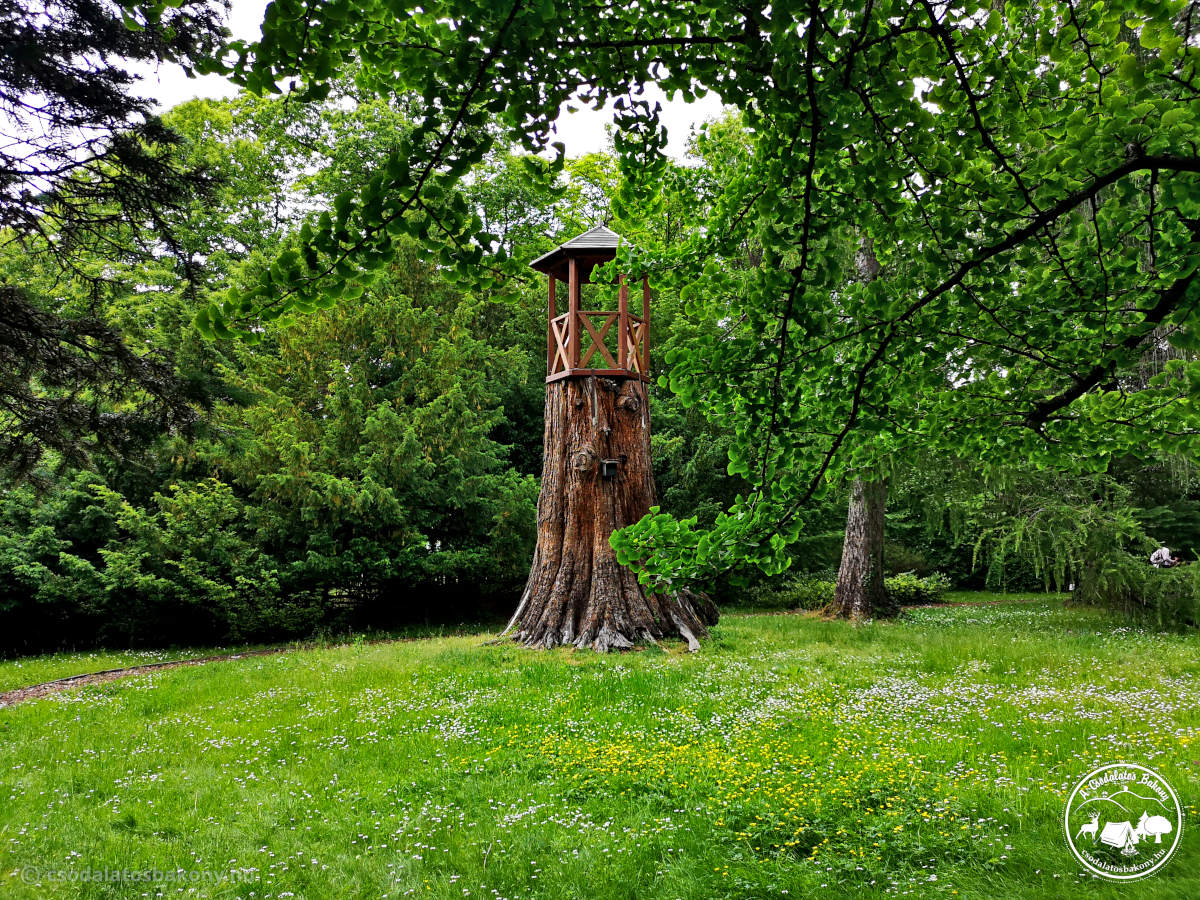 Szépalmai Arborétum